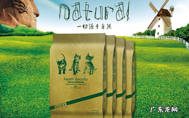 世界猫粮品牌排行 最好的猫粮品牌