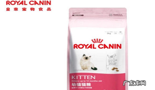 世界猫粮品牌排行 最好的猫粮品牌