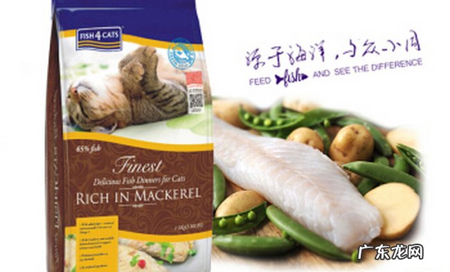 世界猫粮品牌排行 最好的猫粮品牌