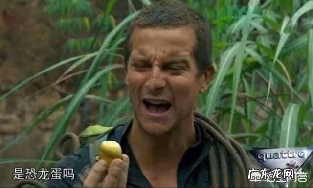 为什么外国人非常排斥皮蛋