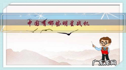 中国八大名星有飞机 中国有哪些明星战机?