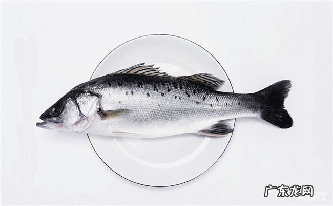 雌雄同体的动物有哪些 地球十大雌性同体的生物