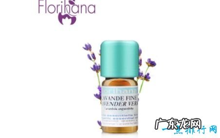 十大香薰精油品牌 汇美舍精油排第一