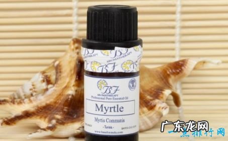 十大香薰精油品牌 汇美舍精油排第一