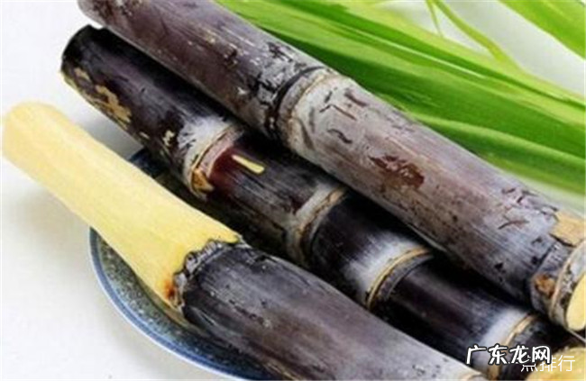 空腹不能吃的十种水果 哪些水果不能空腹食用