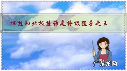 棕熊与北极熊 棕熊和北极熊谁是终极猛兽之王?