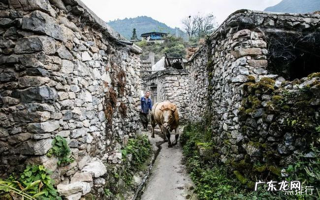 安顺十大旅游景点大全 安顺最值得去的景点推荐