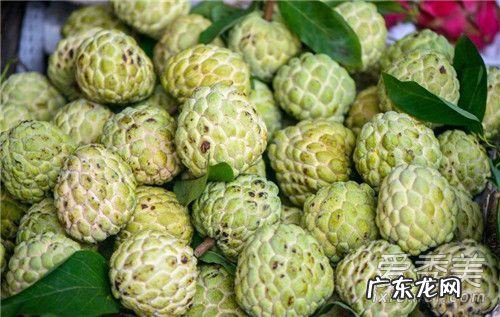 番荔枝的正确吃法