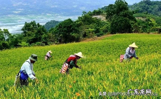 农村穷苦的人,能否改变穷苦的命