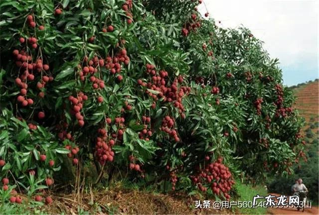 农村穷苦的人,能否改变穷苦的命