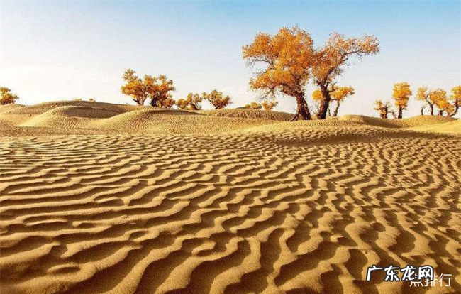 世界十大沙漠排名 撒哈拉沙漠跟中国国土面积一样大