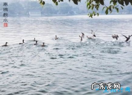 十大古筝名曲 汉宫秋月