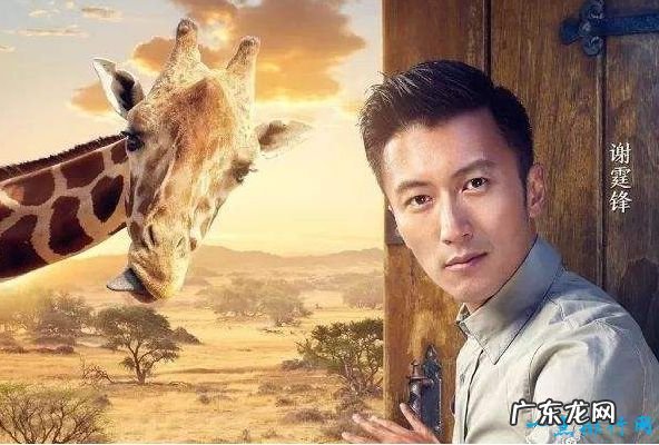 中国十大帅哥排行榜腊肉鲜肉颜值大PK