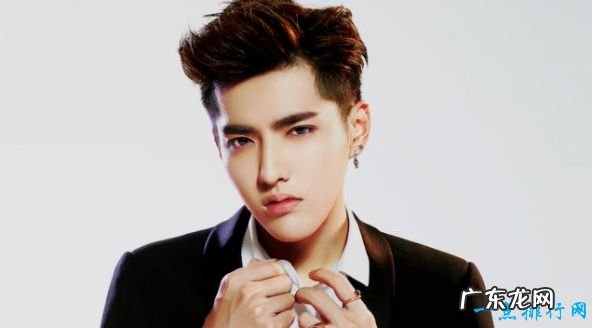 中国十大帅哥排行榜腊肉鲜肉颜值大PK