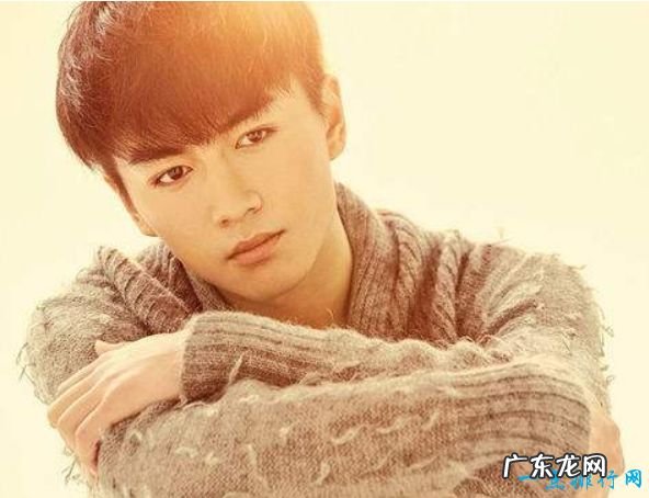 中国十大帅哥排行榜腊肉鲜肉颜值大PK