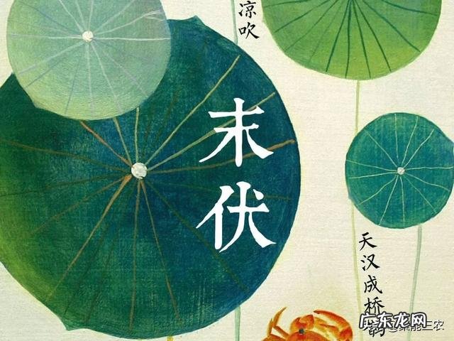 入伏,一伏、二伏、三伏,具体哪一天开始,是怎么推算的?在农村有什么风俗和习惯吗?