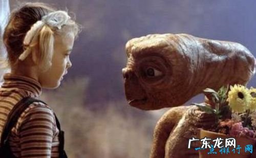 感人电影排行榜前十名 催人泪下让人无法自拔