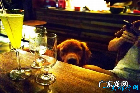 2017郑州酒吧排行榜 云钻酒吧排名第一