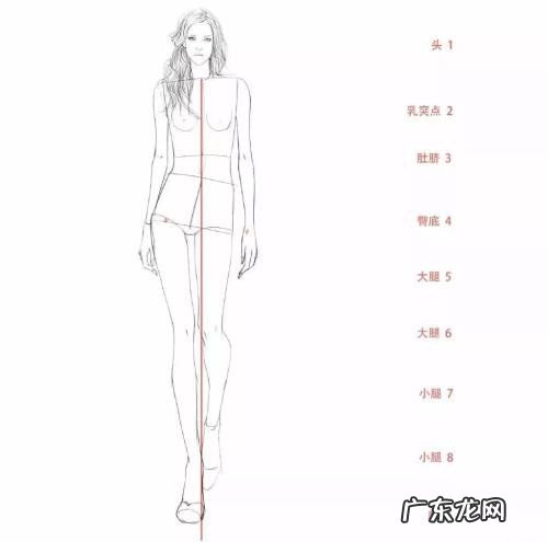 九头身比例是什么意思