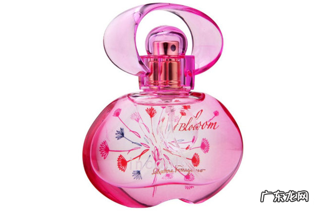 菲拉格慕经典香水排行榜 菲拉格慕香水哪个好闻