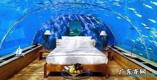 世界上最豪华的酒店,迪拜海底酒店普通单间一晚3万元