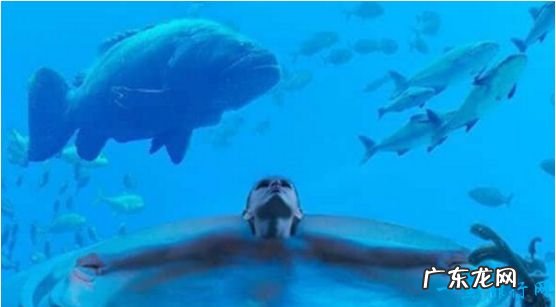 世界上最豪华的酒店,迪拜海底酒店普通单间一晚3万元