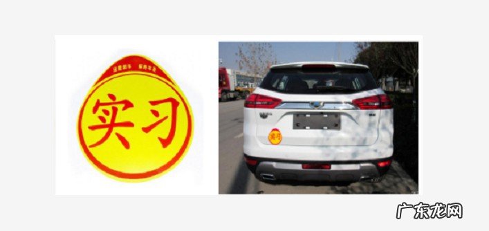 实习标志贴在哪里