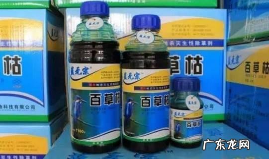 5年剖4次腹产,蒋丽莎过度透支自己的身体,最近还好吗
