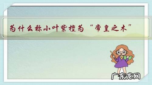 为什么称小叶紫檀为“帝皇之木”, 其佩戴有何意义?