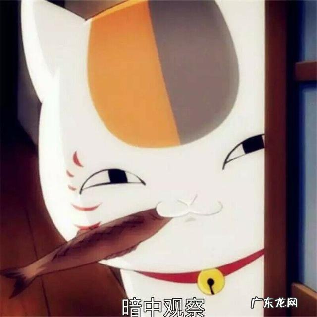 有哪些动漫浪漫经典的初相遇?