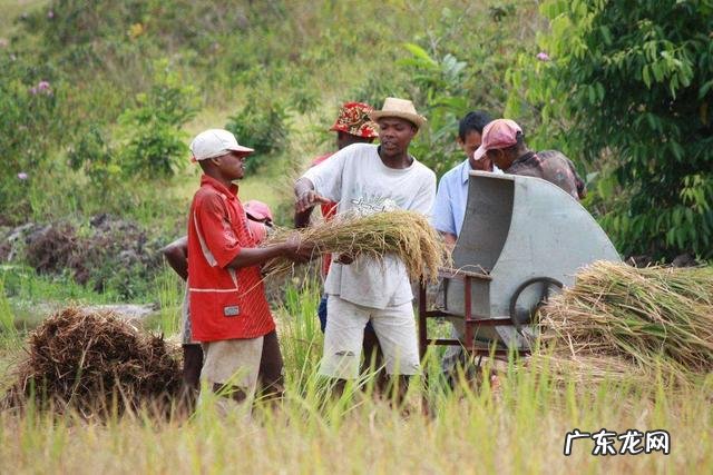 感觉现在越来越难招到人去非洲打工了，你知道是什么原因吗