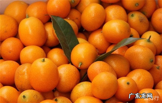 扁桃体发炎吃什么食物比较好 十大有效缓解喉咙痛的食物排行