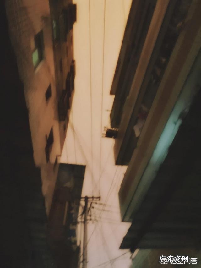 在爱情里，有没有不求回报的付出？