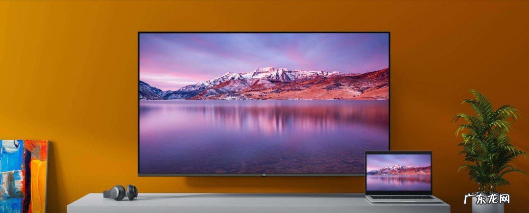 小米电视连接网络正常但用不了