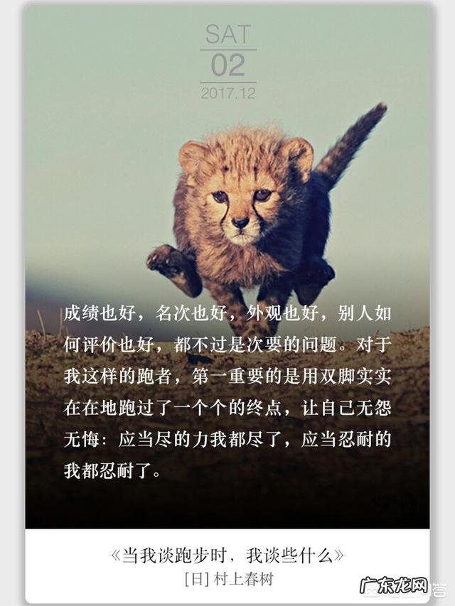 大学四年,如何高质量地度过?