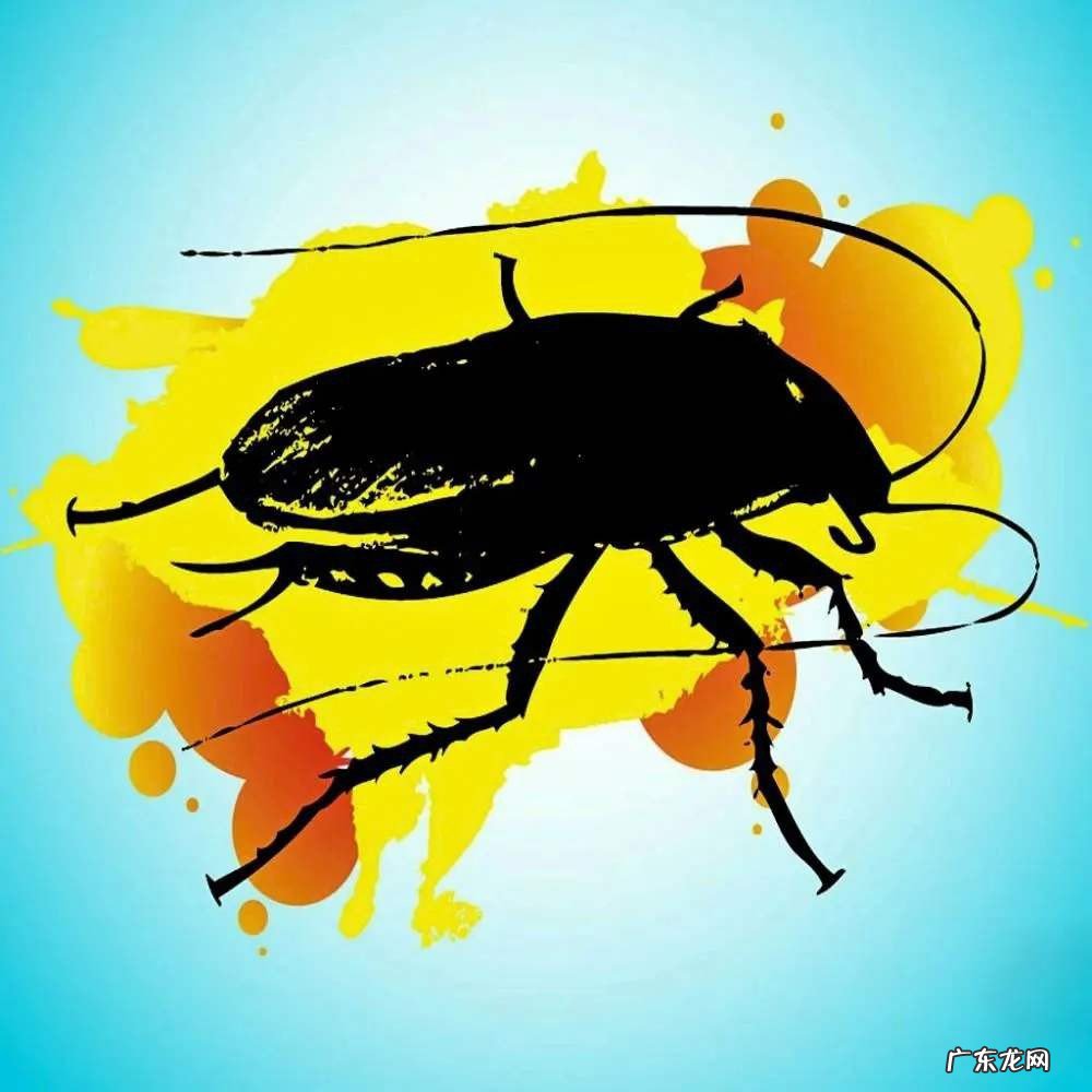 如何快速去除蟑螂