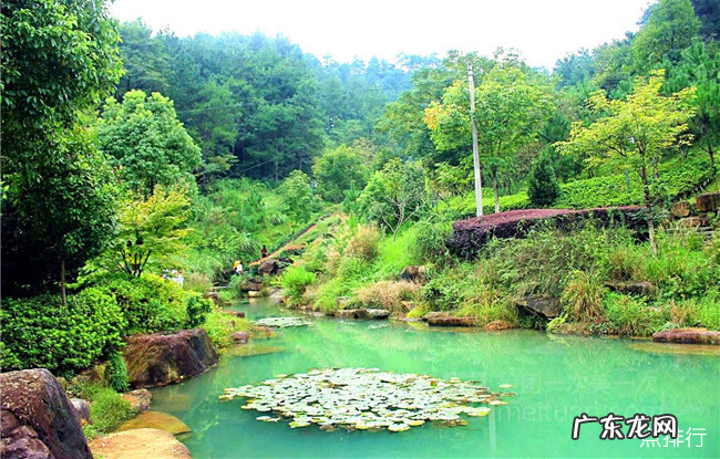 安吉十大旅游景点排行榜 安吉必玩景点推荐