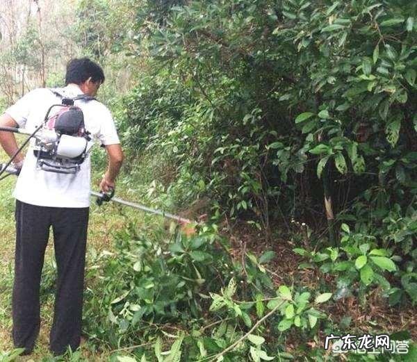 清明扫墓有哪些注意事项?