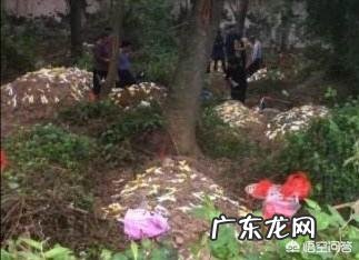 清明扫墓有哪些注意事项?