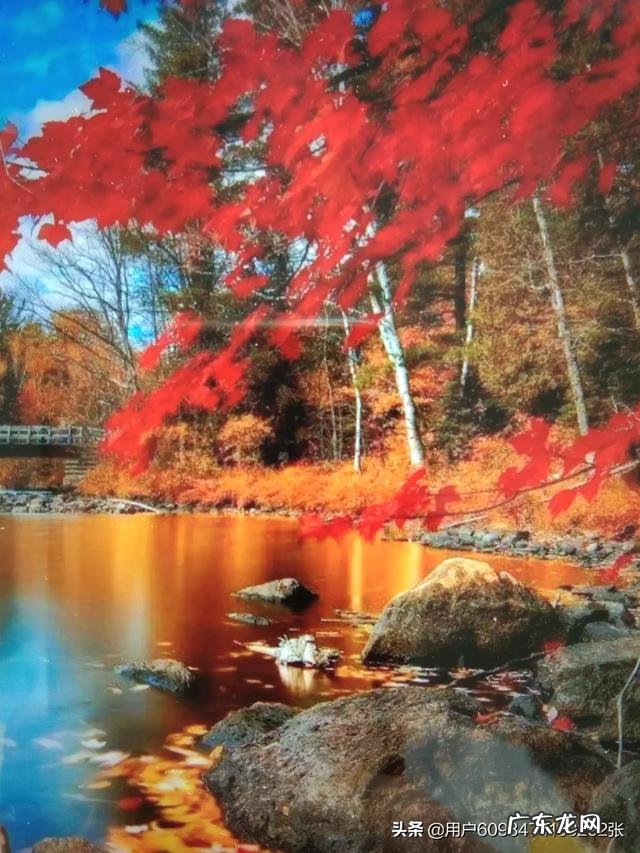 立夏养生吃什么既减肥又养生