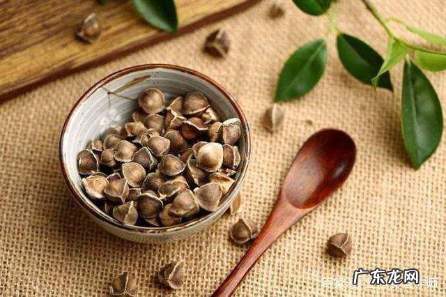 辣木籽的功效与作用怎么吃