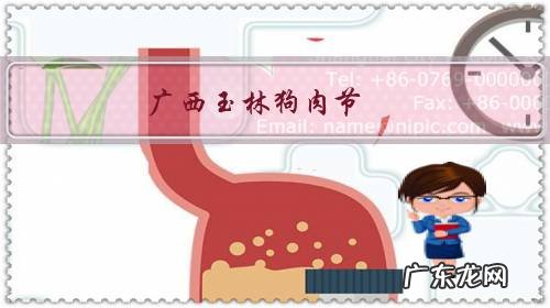 广西玉林狗肉节，是一个什么性质的节日？