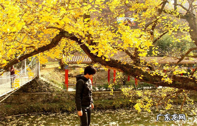 南阳十大旅游景点排名榜 南阳最值得一去的地方