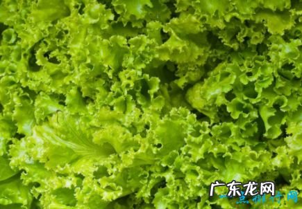 十大抗衰老食物 美容养颜良品