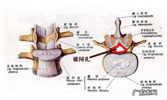 穿高跟鞋的十大弊端 经常穿高跟鞋的危害