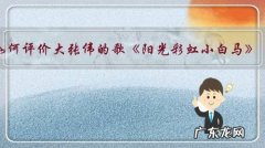 如何评价大张伟的歌《阳光彩虹小白马》？