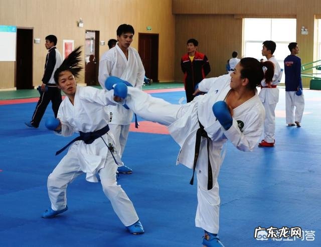 空手道、散打和泰拳,如果不限制的话,哪个更猛?