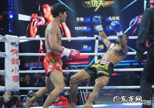 空手道、散打和泰拳，如果不限制的话，哪个更猛？