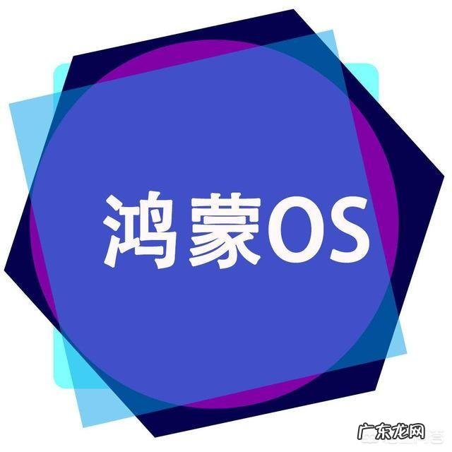 华为自主操作系统“鸿蒙”发布后，现有的华为手机能切换新系统吗？