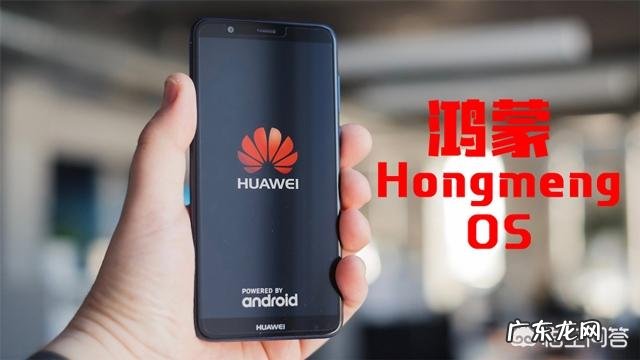 华为自主操作系统“鸿蒙”发布后，现有的华为手机能切换新系统吗？